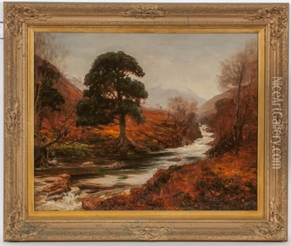 Highland Stream Oil Painting - Alexander Brownlie Docharty