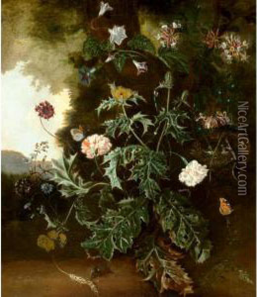 Still Life With Prickly Poppy, Carnations, Honeysuckle And Various Other Flowers With A Lizard On A Bird Nest, A Mouse, Butterflies, And A Caterpillar Oil Painting - Alida Withoos