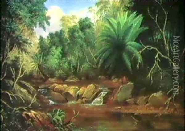 Creek Scene, Wagunga, Mount Dromedary, 1877 Oil Painting - James Howe Carse