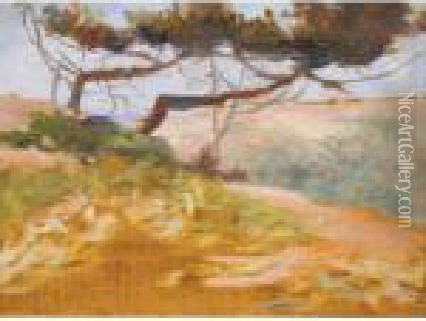 La Baie De Cavalieri Oil Painting - Henri Edmond Cross