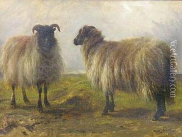 Two Sheep In A Landscape Oil Painting - Rosa Bonheur