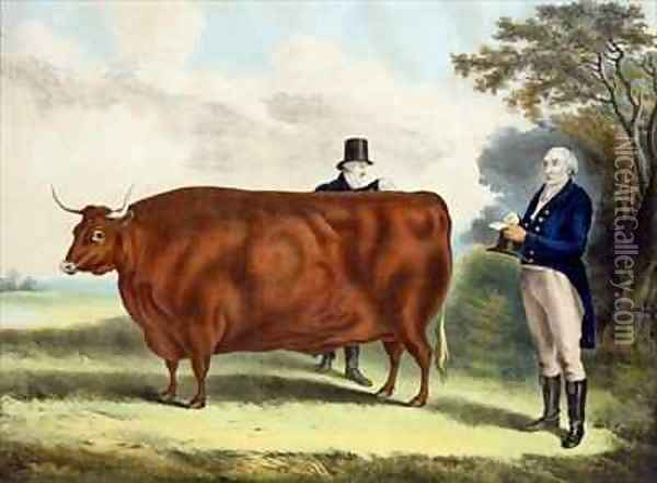 Portrait of Mr TW Coke Esq and Clerk Hilliard Esq with a North Devon Ox Oil Painting - Davis, W.H.