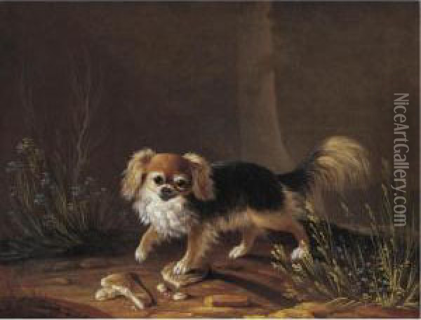 Portrait Of Linda, A Pekingese Oil Painting - Jacques Charles Oudry