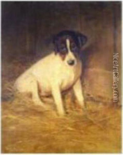 Jack Russel Puppy In A Barn Oil Painting - Samuel Fulton
