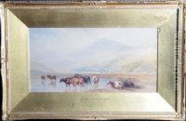 Cattle On The Shore Of A Lake Oil Painting - Cornelius Pearson