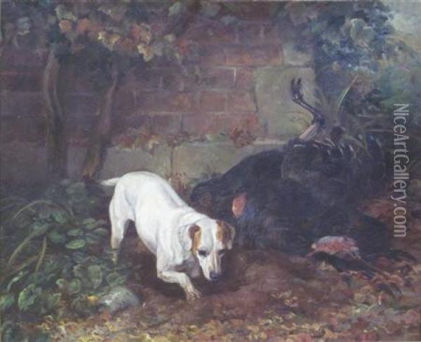 Jack Russell Burying A Turkey Oil Painting - Edmund Caldwell