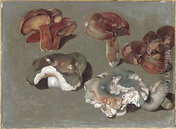 Studies of fungi the lower three are Russula cyanoxantha, 'The Charcoal Burner' Oil Painting - Ferdinand Phillip de Hamilton