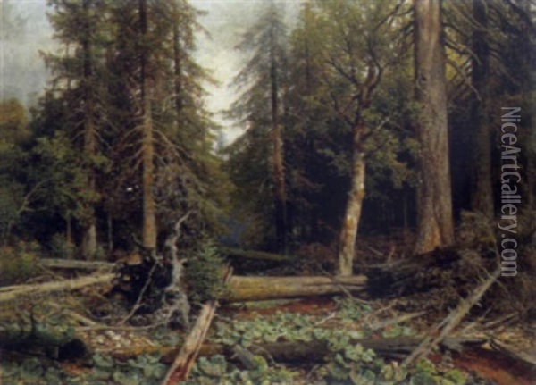 Urwald Am Kubani In Bohmen Oil Painting - Ladislaus Eugen Petrovits