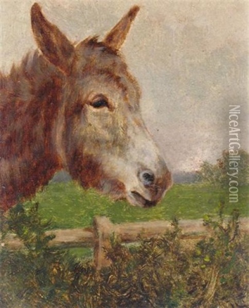 A New Forest Donkey Oil Painting - Arthur Batt