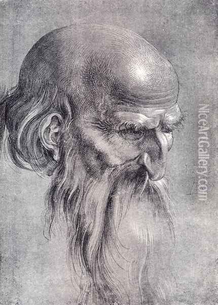 Head Of An Apostle Looking Downward Oil Painting - Albrecht Durer