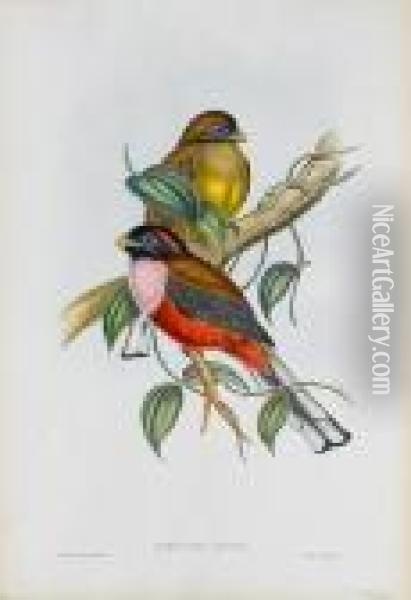 A Collection Oil Painting - John H. Gould