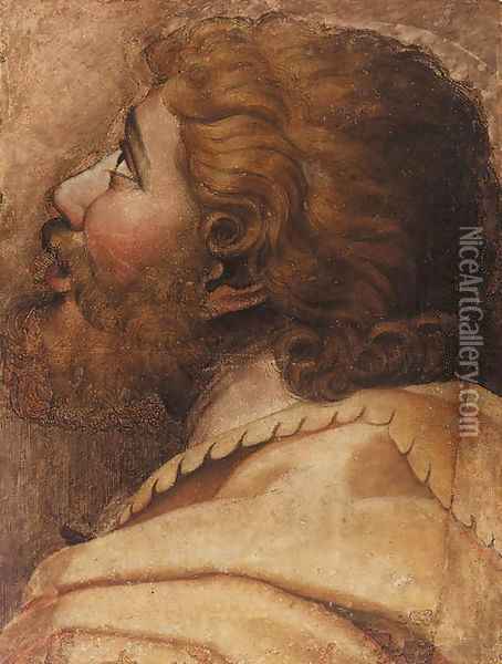 Head of a man looking up to the left a cartoon for a tapestry Oil Painting - Raffaelo Sanzio