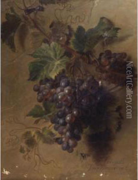 A Bunch Of Grapes Hanging On A Wall Oil Painting - Cornelis van Spaendonck