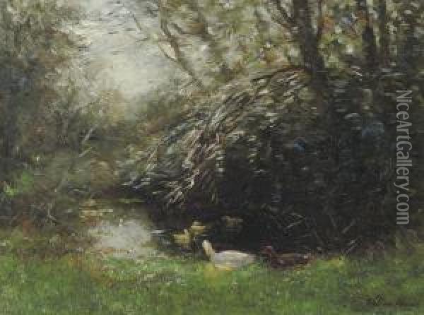 In The Shady Pond Oil Painting - Willem Maris