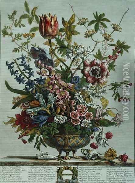 February, from `Twelve Months of Flowers Oil Painting - Pieter Casteels