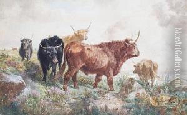 Highland Cattle Oil Painting - Richard Beavis