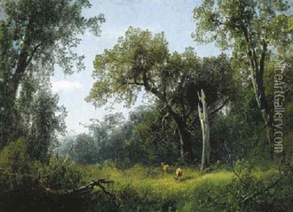 Deer In A Meadow Oil Painting - Hermann Herzog