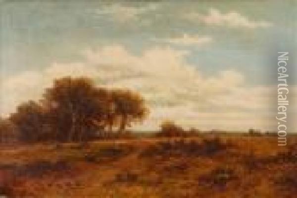Moorland Landscape Oil Painting - Daniel Sherrin