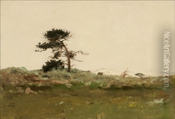 Monterey Point, Lone Pine Oil Painting - Lockwood de Forest