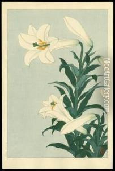 White Lily Oil Painting - Ohara Koson