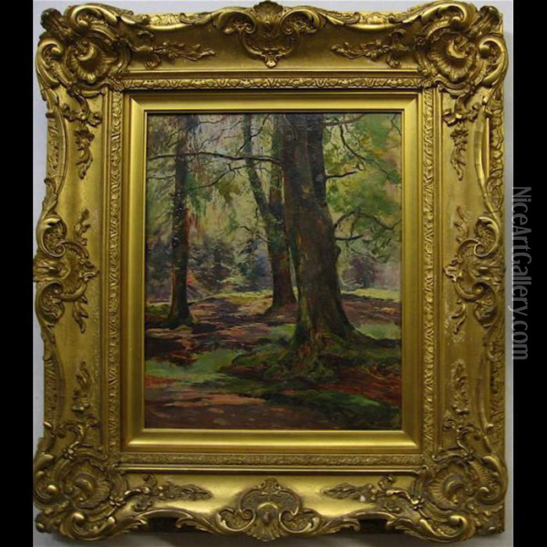 Shadows In The Forest Oil Painting - Archibald Kay