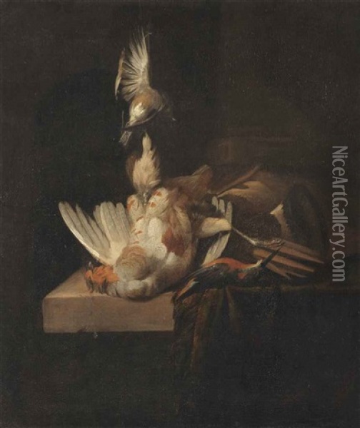 A Finch Suspended From A Rope, A Partridge And A Kingfisher On A Partially Draped Stone Ledge Oil Painting - William Gowe Ferguson