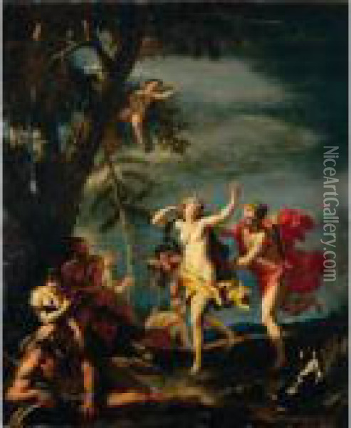Apollo And Daphne Oil Painting - Sebastiano Ricci