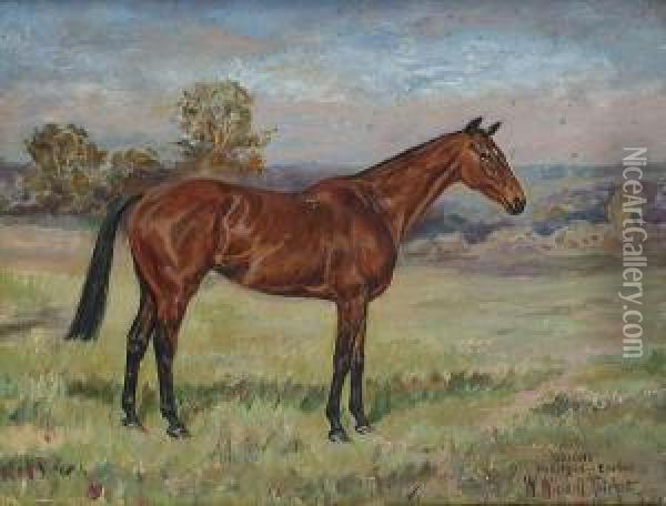 'grigny' By Cylgad - Erebus; And 'huntsman' Oil Painting - W. Wasdell Trickett