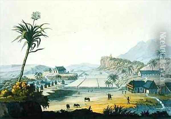 Sugar Plantation Antilles Oil Painting - Paolo Fumagalli