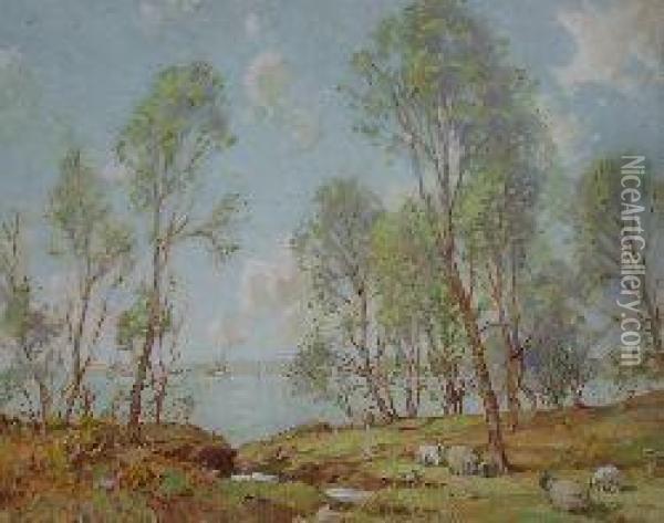 Sheep Grazing By An Estuary Oil Painting - Thomas, Tom Campbell