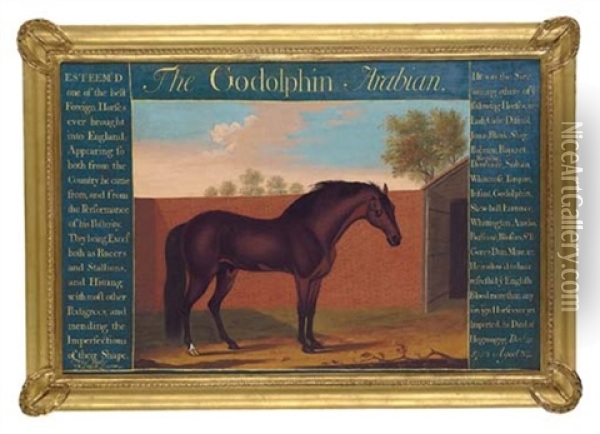 The Godolphin Arabian Oil Painting - Thomas Butler