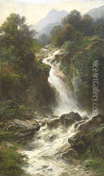 Wasserfall Im Gebirge. Oil Painting - August Hoerter