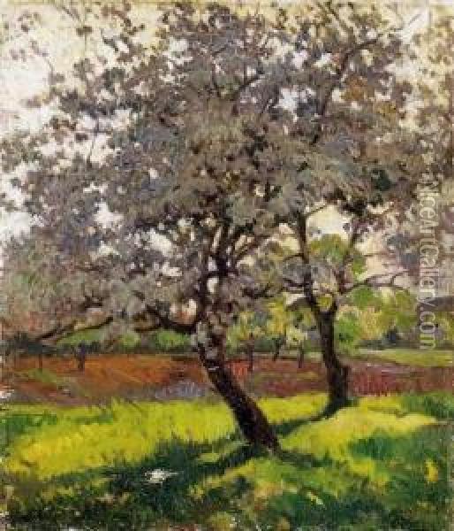 Trees In Spring Oil Painting - Janos Krizsan