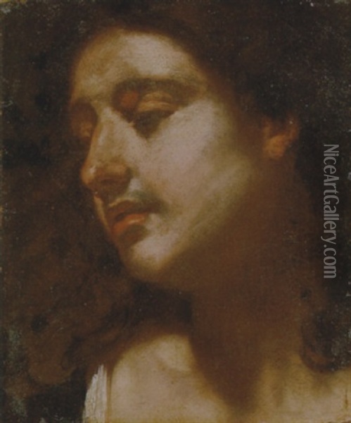 Testa Maschile Oil Painting - Giulio Cesare Procaccini