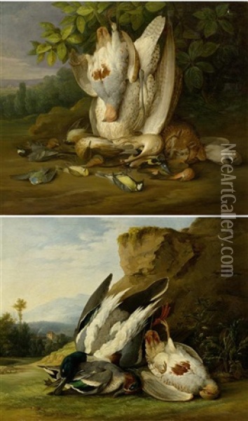 Jagdstillleben Mit Vogeln (pair) Oil Painting - Philipp Ferdinand de Hamilton