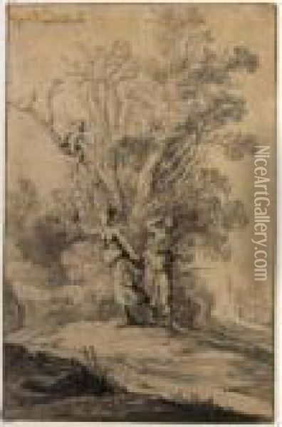 Apollo And Daphne Oil Painting - Bartholomeus Breenbergh