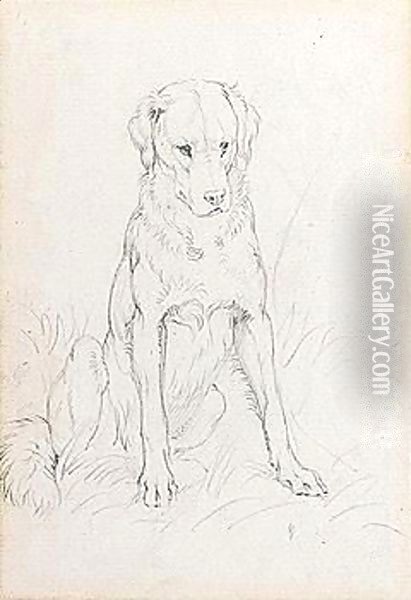 A Dog 2 Oil Painting - Sir Edwin Henry Landseer