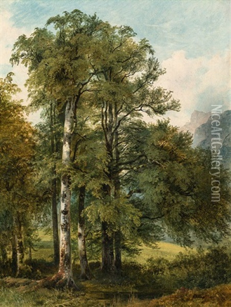 Waldlandschaft Oil Painting - Friedrich Gauermann