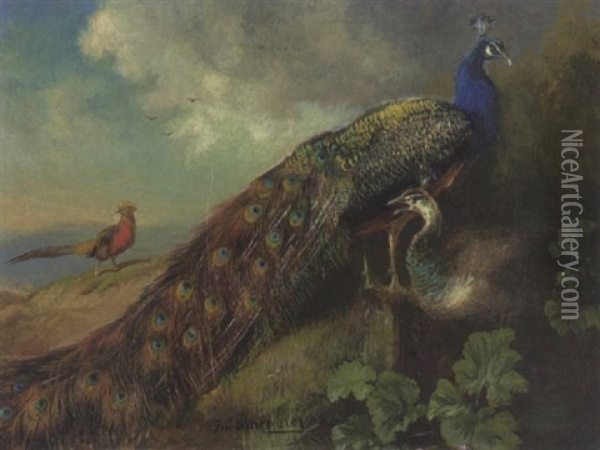 Pfauenpaar Oil Painting - Julius Scheuerer