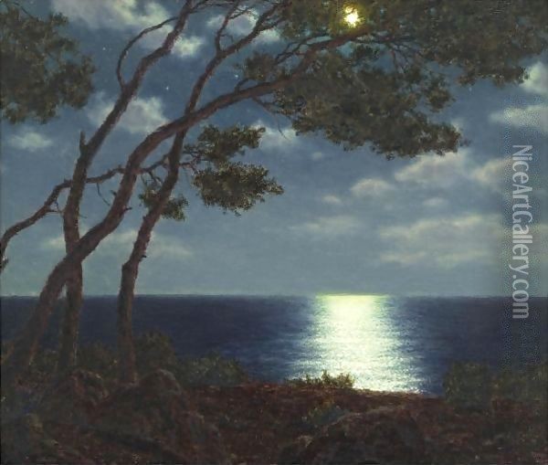 Moonlight On The Water Oil Painting - Ivan Fedorovich Choultse