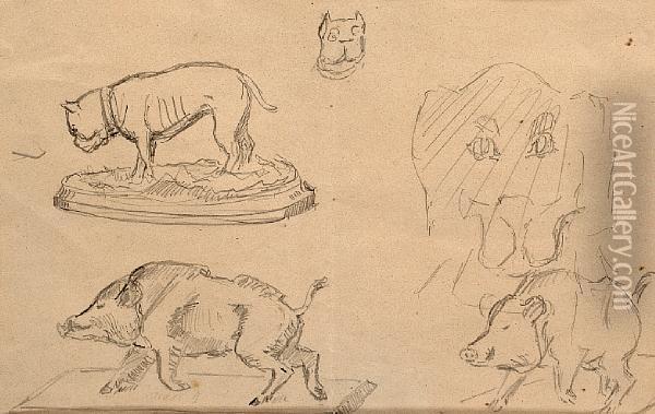 Bulldog And Boar Studies Oil Painting - Henri De Toulouse-Lautrec