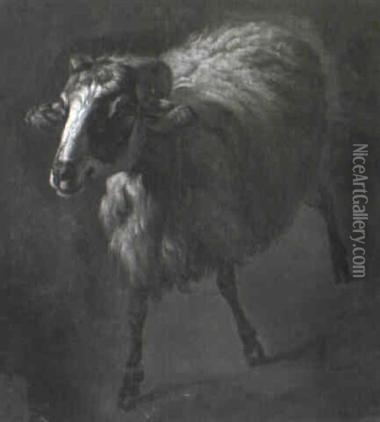 Ram Oil Painting - Francesco Londonio