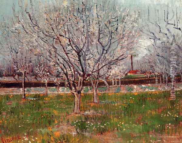 Orchard In Blossom Bordered By Cypresses Oil Painting - Vincent Van Gogh