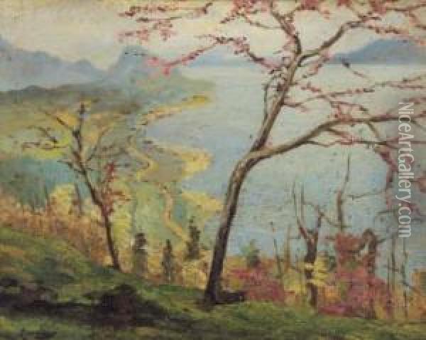 Primavera Sul Lago Di Como Oil Painting - Ludovico Cavaleri