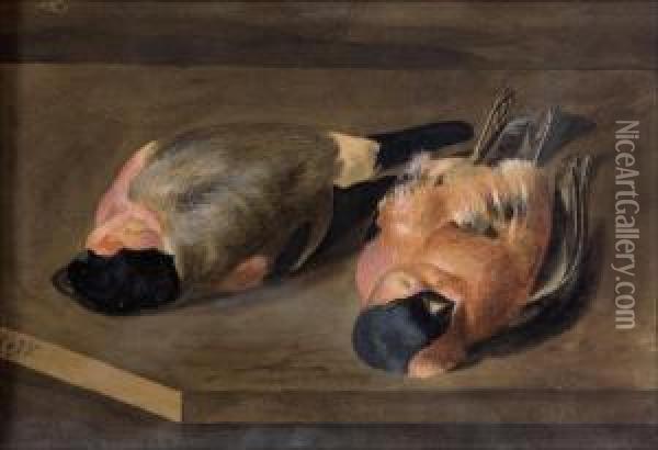 Punatulkut. Oil Painting - Magnus Von Wright