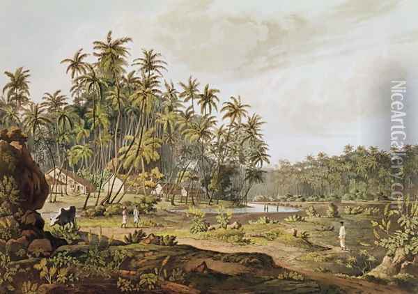 View near Point du Galle, Ceylon, engraved by Daniel Havell 1785-1826 published in 1809 Oil Painting - Henry Salt