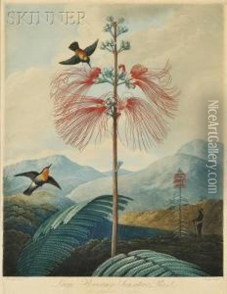 Temple Of Flora Oil Painting - Joseph Constantine Stadler