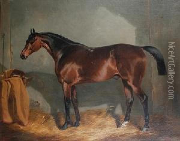 A Chestnut Hunter In A Stable Oil Painting - Charles Cooper Henderson