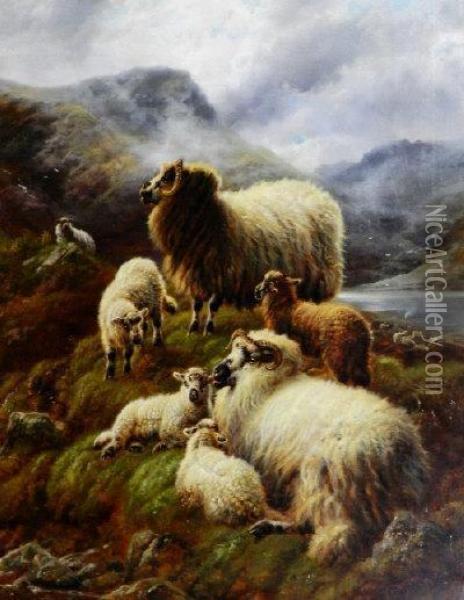 Highland Sheep And Lambs By A Loch Oil Painting - Robert Watson