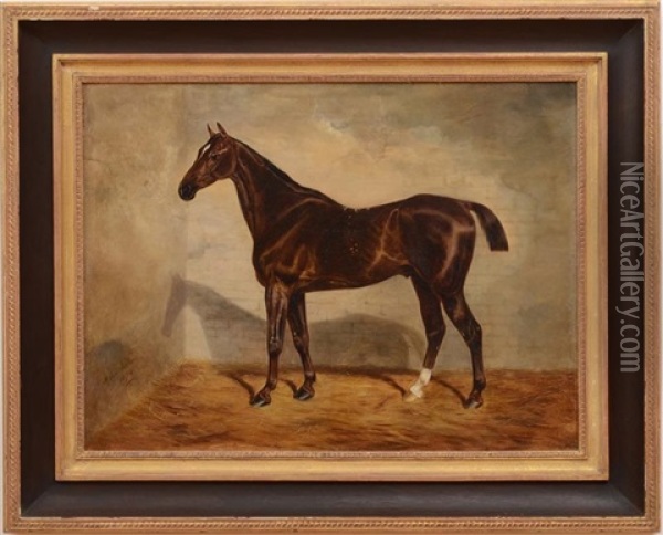 A Bay Racehorse In Loose Box Oil Painting - Benjamin Cam Norton